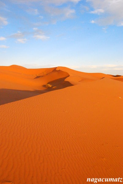モロッコ旅行 メルズーガ サハラ砂漠 その1 9月26日 11 徒然なる All Over The World モロッコ旅行 メルズーガ サハラ砂漠 その1 9月26日 11 徒然なる All Over The World
