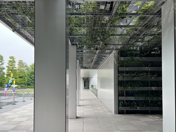 IMG_7501 - コピー