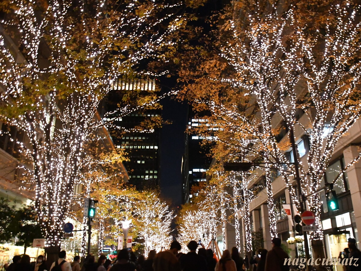 丸の内 銀座 お台場 竹ノ塚 の イルミネーション 12月 21 徒然なる All Over The World