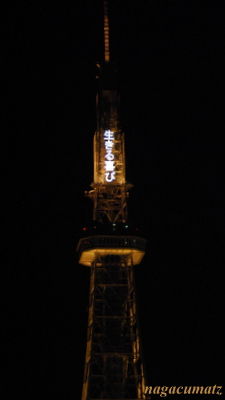 イメージ 11