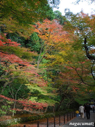 イメージ 6