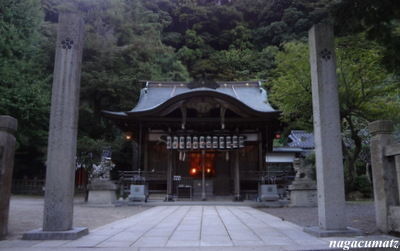 イメージ 3