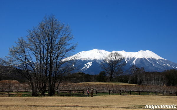 イメージ 14