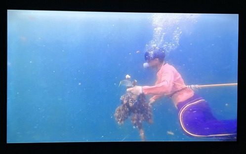 IMG_4933 いるわん