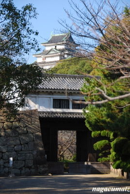 イメージ 15