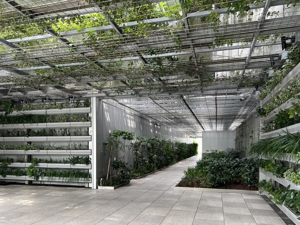 IMG_7500 - コピー