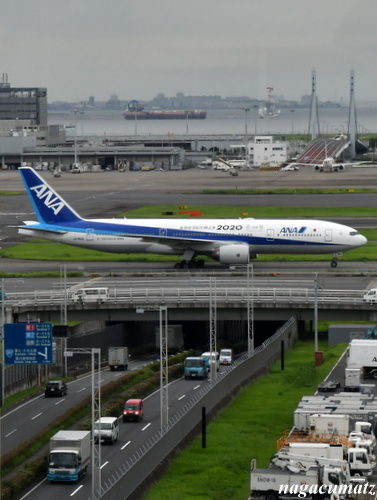 イメージ 7
