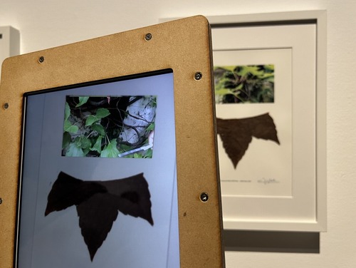 藤幡正樹《Capture in Half》2016