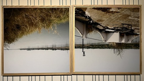 IMG_4929アビチャッポン