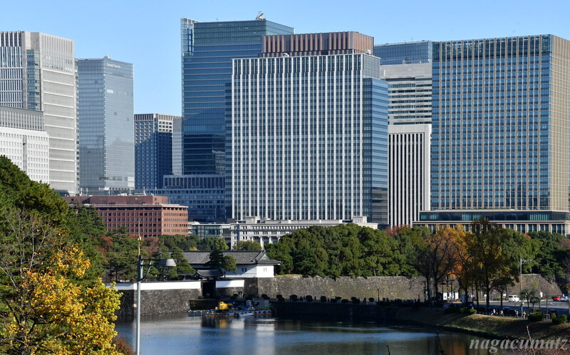 DSC_6088