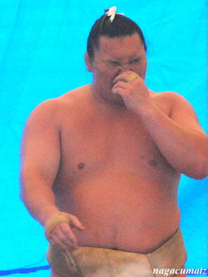 イメージ 8