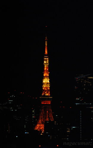 イメージ 6