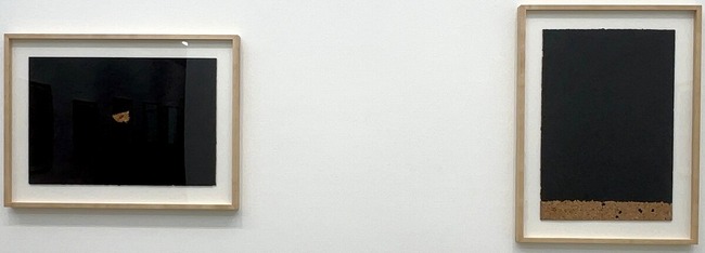 IMG_E4482