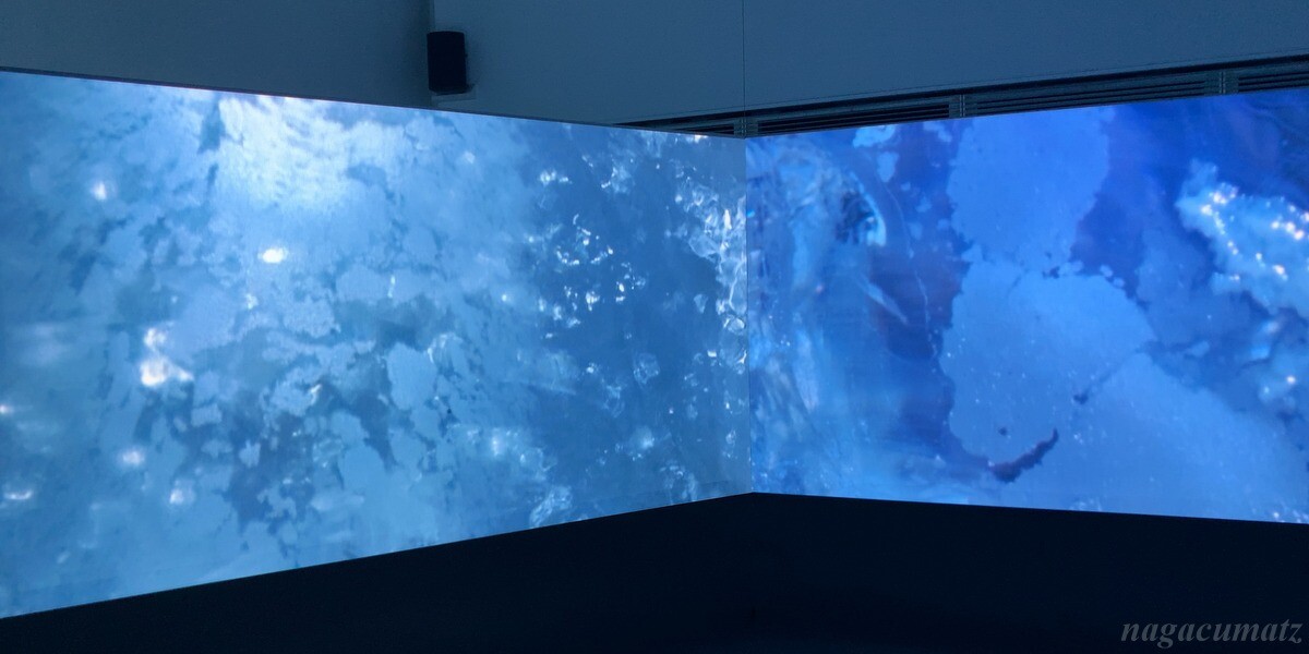 DOUG AITKEN NEW OCEANダグ・エイケン　ニュー・オーシャン ダグ・エイケン DOUG AITKEN「NEW OCEAN: THAW」 ＠ エスパス