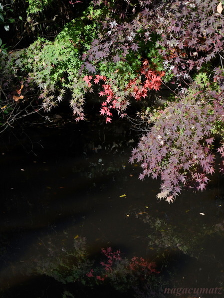 DSC_2408