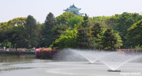 イメージ 5
