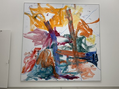 Aaron Garber-Maikovska