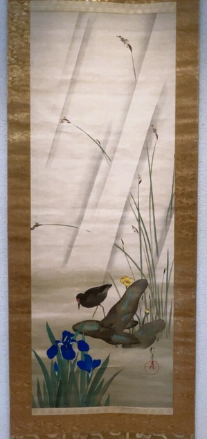 11　酒井抱一「菖蒲に鷭」文政7年1824年以降