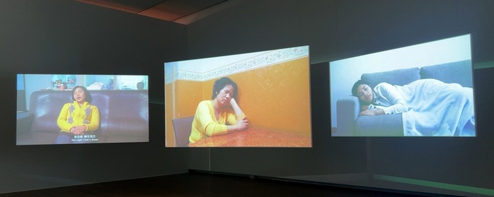 饒加恩 ジャオ・チアエン Jao Chia-En 「レム睡眠」2011