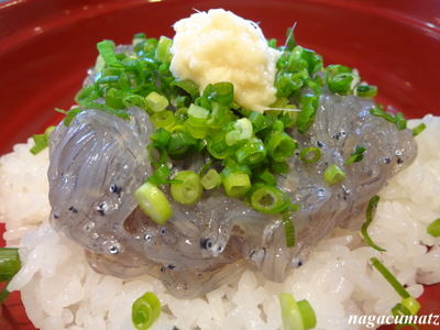 イメージ 15