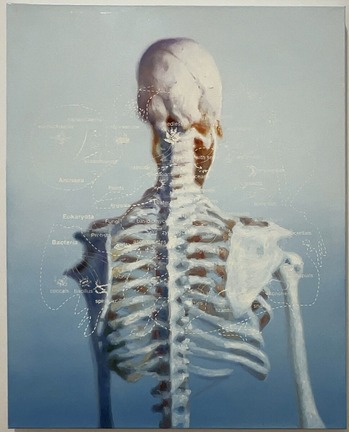 「The cosmos on your back」2022