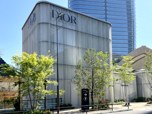 IMG_8806 - コピー