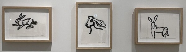 IMG_E3537