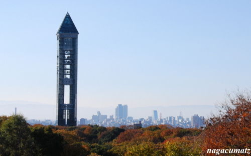イメージ 4
