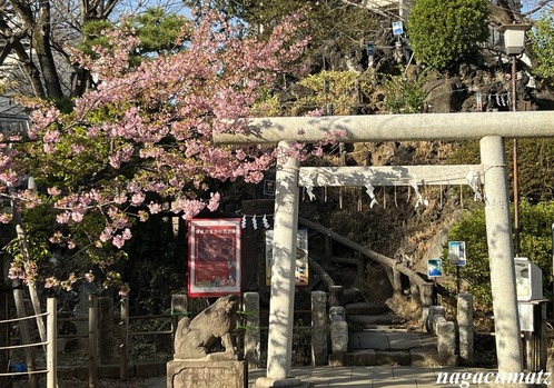 IMG_E7299
