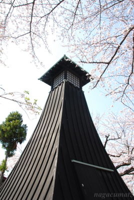 イメージ 12