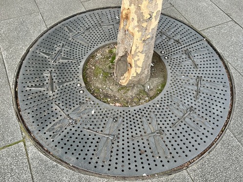 8 長澤伸穂「トンボヒコーキのメッセージ」