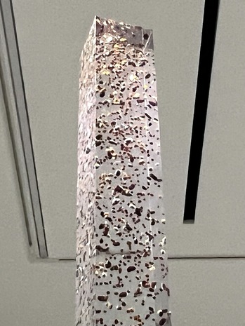 廣瀬智央(さとし)「Untitled (Beans Mythology)」2008