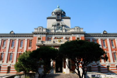 イメージ 7