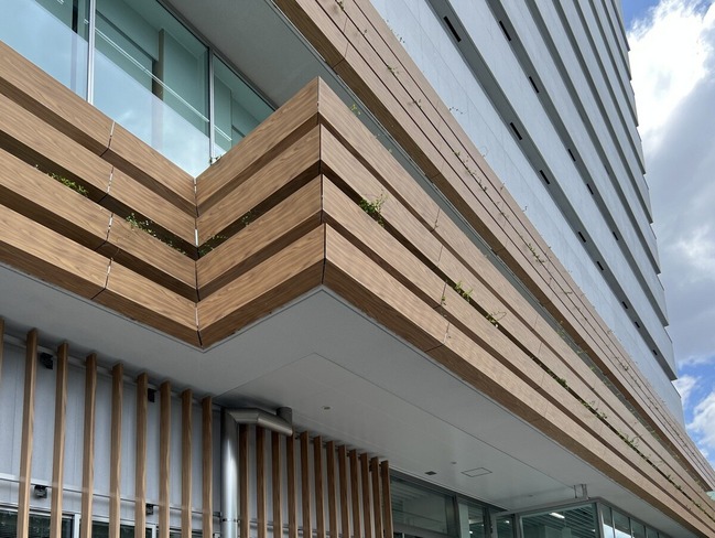 IMG_0580 - コピー