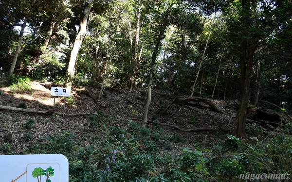 土塁