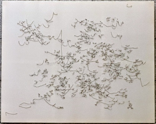 高柳恵理《ラプンツェル/highland hike》1999