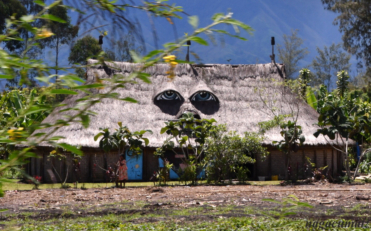 パプアニューギニア旅行 3 2日目 モコモコダンス ゴロカ 1月5日 徒然なる All Over The World