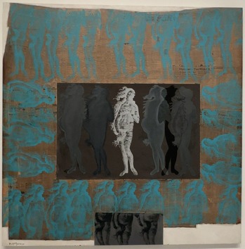 14「ヴィーナスの変貌V」1967