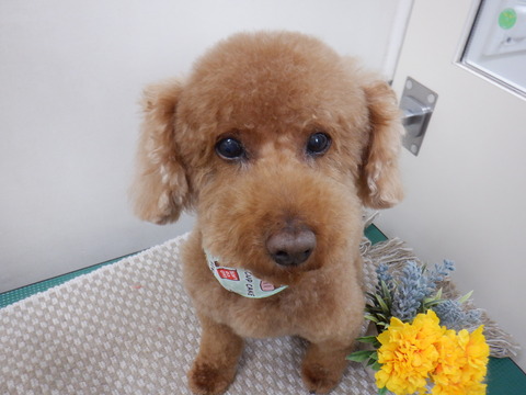 2026.05.07 プーヤン
