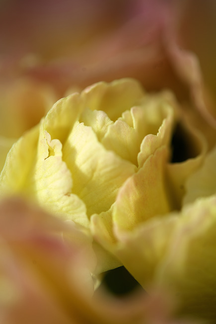 DSC07559
