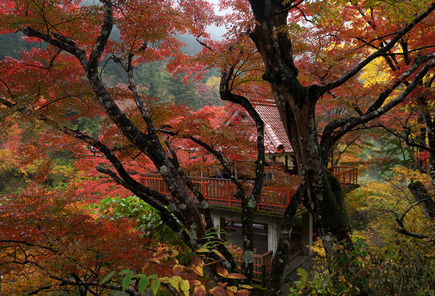 Nagai1