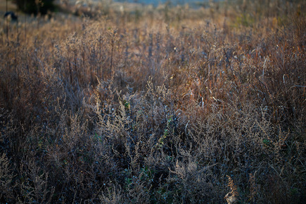 DSC05346