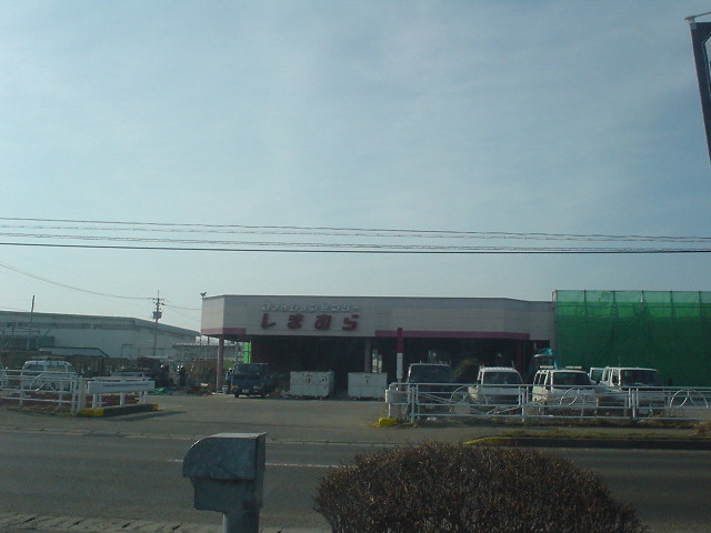 しまむらも デイリーオーダテ