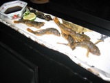特注1