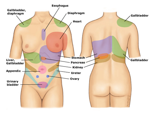 Referred_pain_patterns