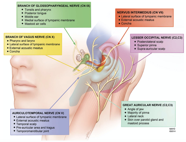 スクリーンショット 2020-10-10 9.28.09