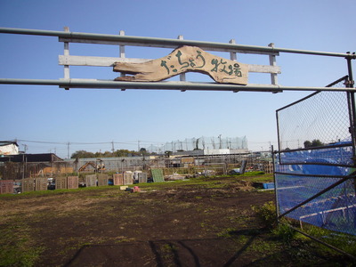 相模原　ダチョウ牧場