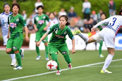 hasegawa