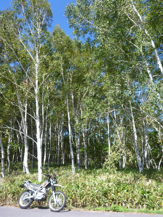 P1230357