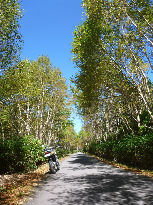 P1230355